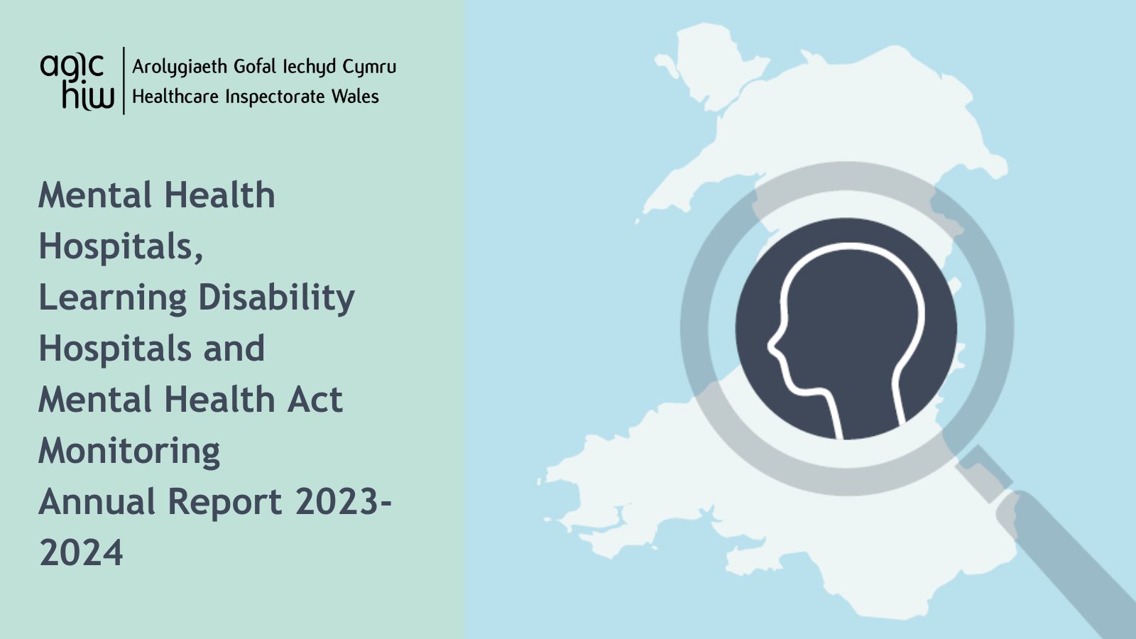 Mental Health Hospitals, Learning Disability Hospitals and Mental Health Act Monitoring Annual Report 2023-2024