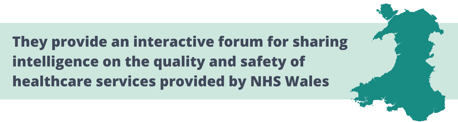 They provide an interactive forum for sharing intelligence on the quality and safety of healthcare services provided by NHS Wales. 