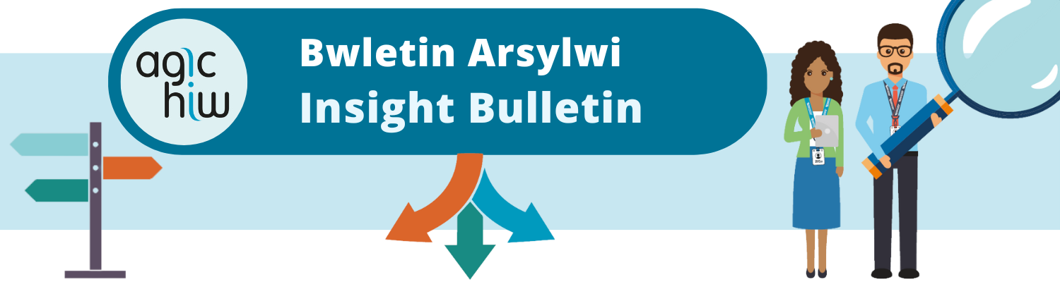 Bwletin Arsylwi  / Insight Bulletin